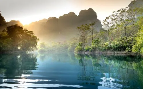 高效绿色